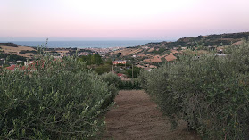 Hotel Ristorante Il Grillo