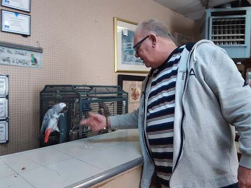 Used Furniture Store «State Street Furniture», reviews and photos, 14 E Front St, Oil City, PA 16301, USA