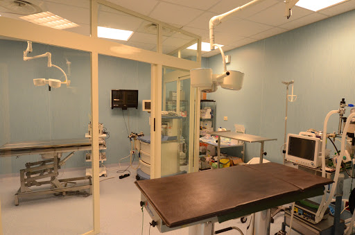 Pensioni per cani e dog hotel a Clinica Veterinaria Citt di Voghera