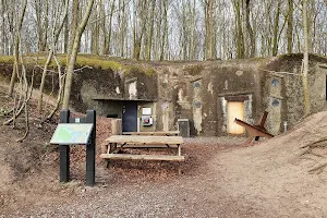 Skanderborg Bunkerne image