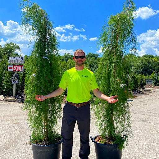 Landscaping Supply Store «Kirkwood Gardens», reviews and photos, 2701 Barrett Station Rd, Ballwin, MO 63021, USA