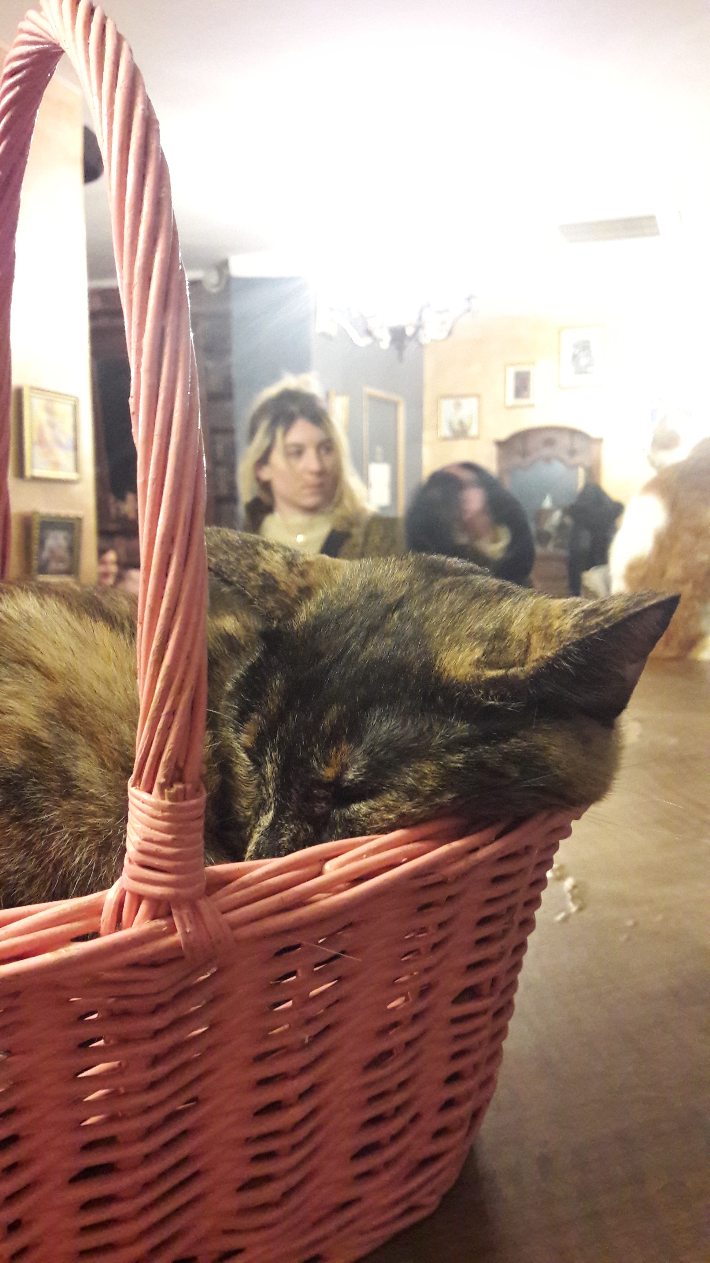 Photo n° 2 de l'avis de Julie.l fait le 23/11/2019 à 07:26