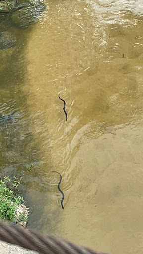 Nature Preserve «Montgomery County Preserve», reviews and photos, 1118 Pruitt Rd, The Woodlands, TX 77380, USA