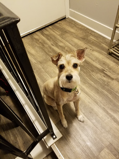 Pet Supply Store «Pet Supplies Plus», reviews and photos, 9430 W 159th St, Orland Park, IL 60467, USA