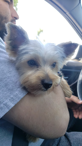 Pet Store «Katie’s PET DEPOT®», reviews and photos, 1941 Foothill Blvd, La Verne, CA 91750, USA