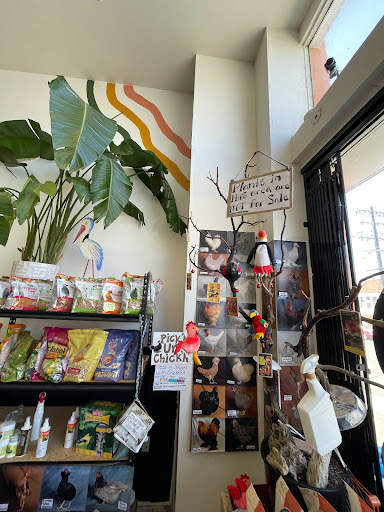 Pet Supply Store «The Animal Connection», reviews and photos, 2550 2550 Judah St & 31st Ave, San Francisco, CA 94122, USA