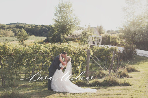 Winery «Cottage Winery and Vineyard», reviews and photos, N7391 County Road F, Menomonie, WI 54751, USA