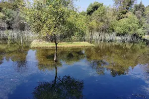 El Texcal Ecological Park image