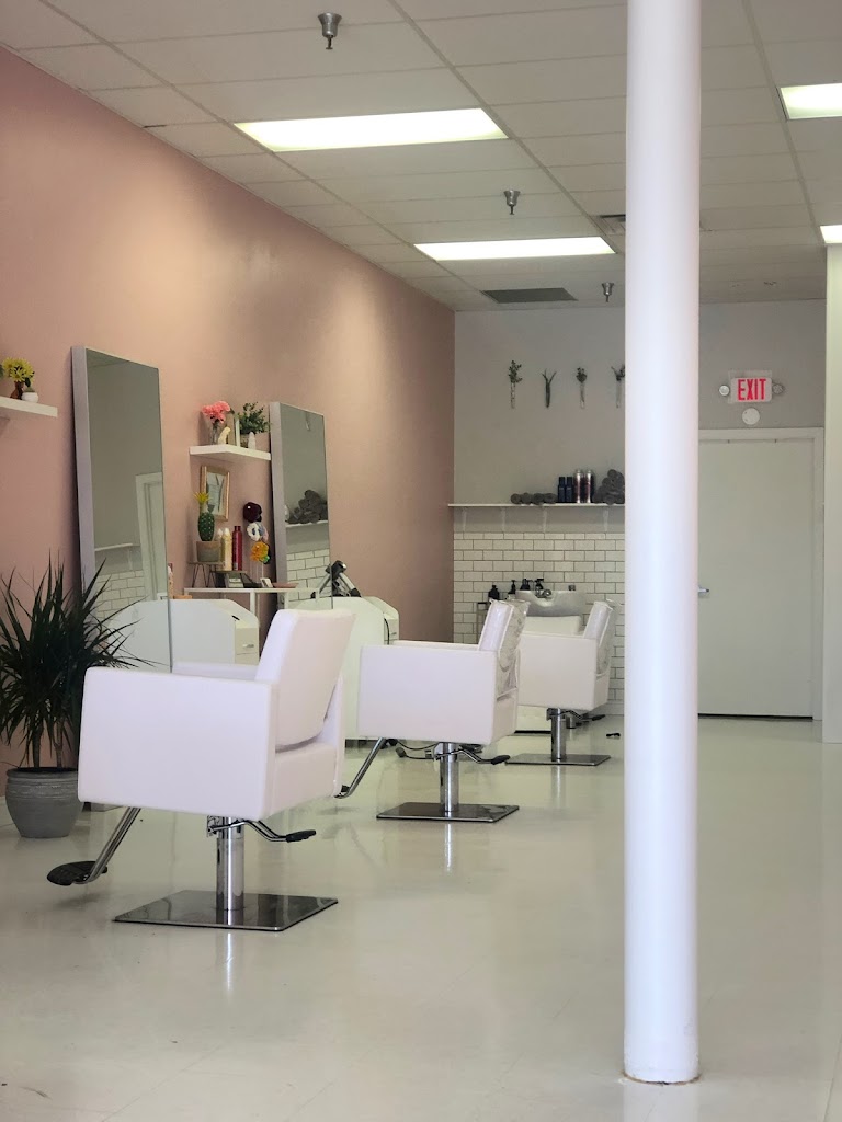 Blush Hair Studio 28160