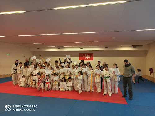 Association Taekwondo et Arts Coréens Lillois à Lille