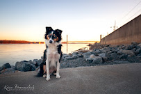 Karen Broemmelsick Photography and Art - Photo 5 - Car repair in , Jackson