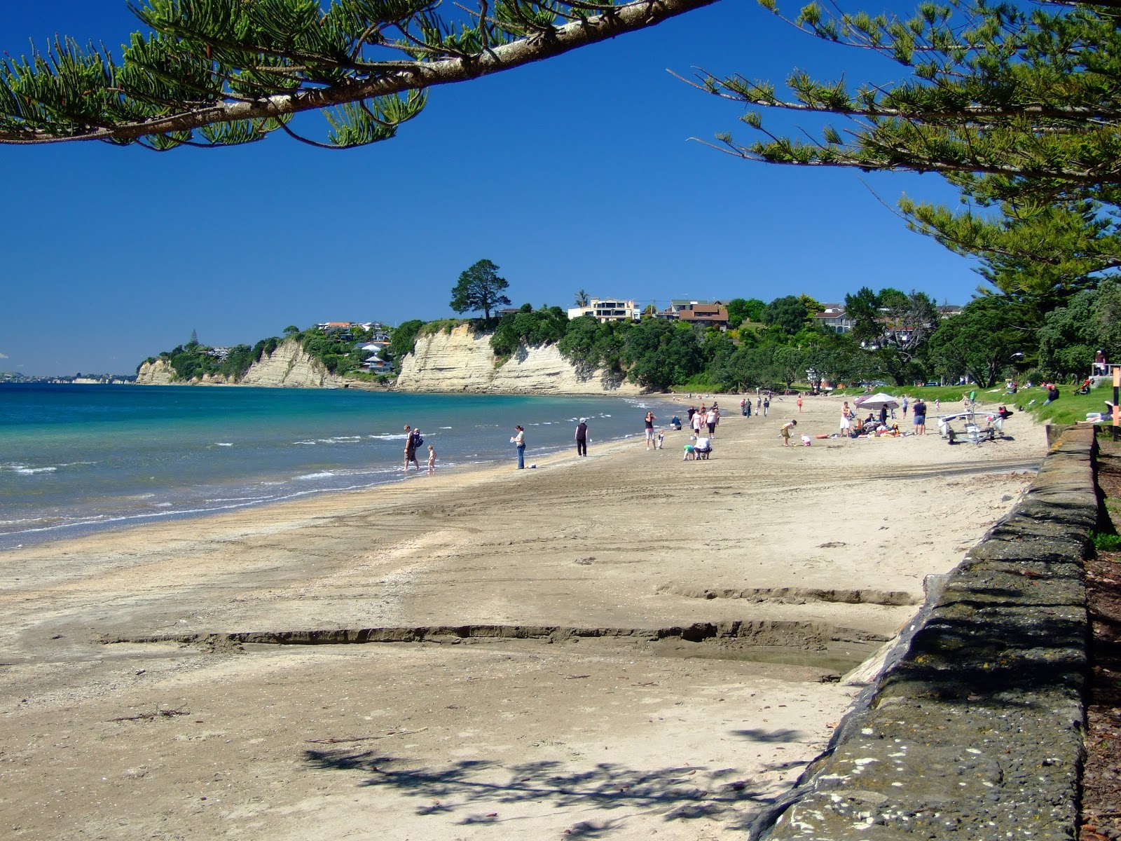 Φωτογραφία του Browns Bay Beach με μια ευρύχωρη ακτογραμμή