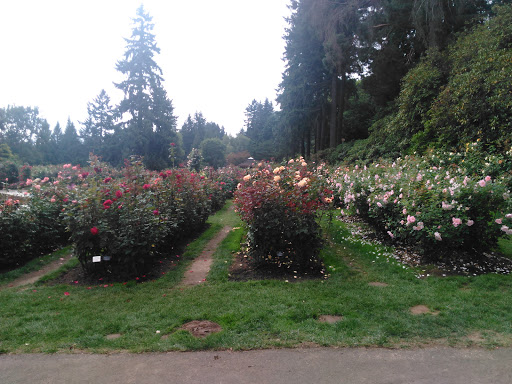 Stadium «Providence Park», reviews and photos, 1844 SW Morrison St, Portland, OR 97205, USA