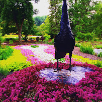 Issaquah Landscaping Inc. - Photo 6 - Car repair in Issaquah, WA, Renton