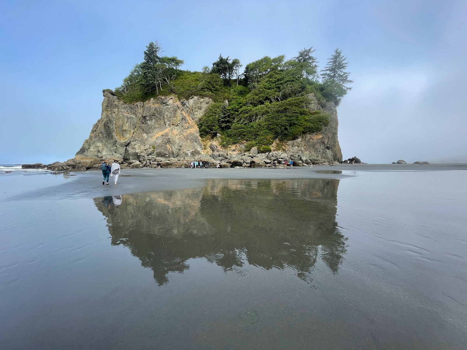 Foto af Ruby Beach bakket op af klipperne