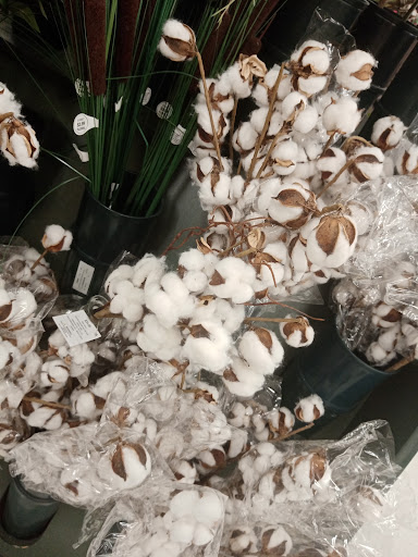 Craft Store «Hobby Lobby», reviews and photos, 5555 E Broadway Blvd #131, Tucson, AZ 85711, USA