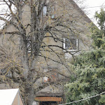 Photo n°4 de l'avis de Rami.l fait le 10/04/2022 à 13:05 sur le  Bisonstube Bodenwald à Bodman-Ludwigshafen