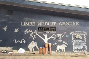 Limbe Wildlife Centre image