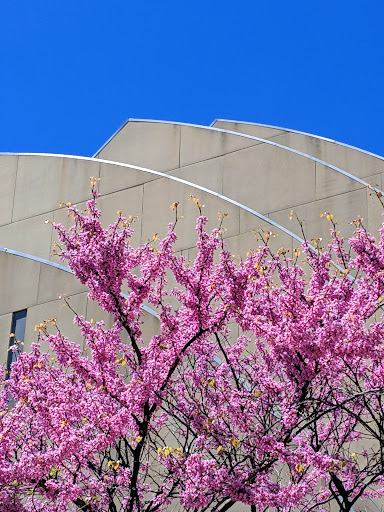 Performing Arts Theater «Kauffman Center for the Performing Arts», reviews and photos, 1601 Broadway, Kansas City, MO 64108, USA