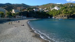 Photo de Platja de Portbou avec plusieurs baies spacieuses
