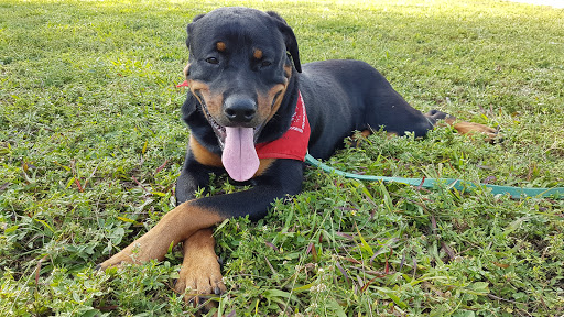 Stadium «Nathaniel Traz-Powell Stadium», reviews and photos, 11380 NW 27th Ave, Miami, FL 33167, USA