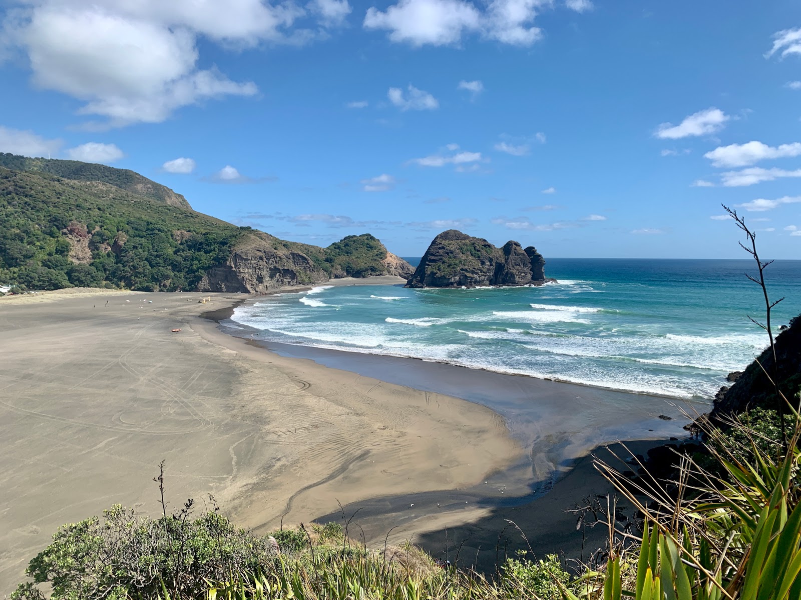 Piha Beach的照片 具有非常干净级别的清洁度
