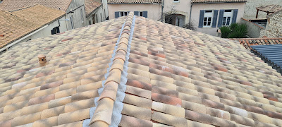 Delporte Artisan Couvreur zingueur à Arles