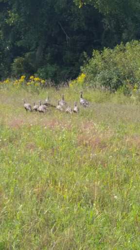 Golf Club «Cannon Golf Club», reviews and photos, 8606 295th St E, Cannon Falls, MN 55009, USA