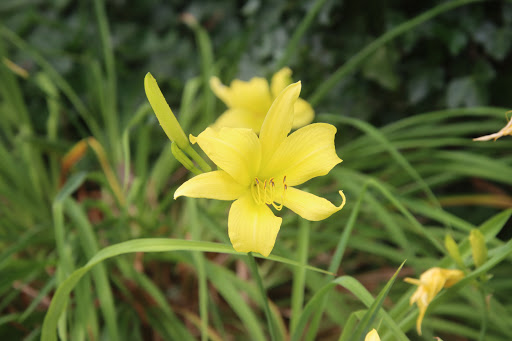 Park «Post Park», reviews and photos, 451 Unqua Rd, Massapequa Park, NY 11762, USA