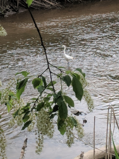 Park «Parker Press Park», reviews and photos, 400 Rahway Ave, Woodbridge, NJ 07095, USA