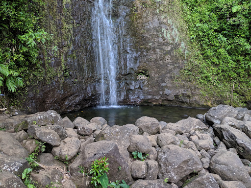 Honolulu Watershed Forest Reserve