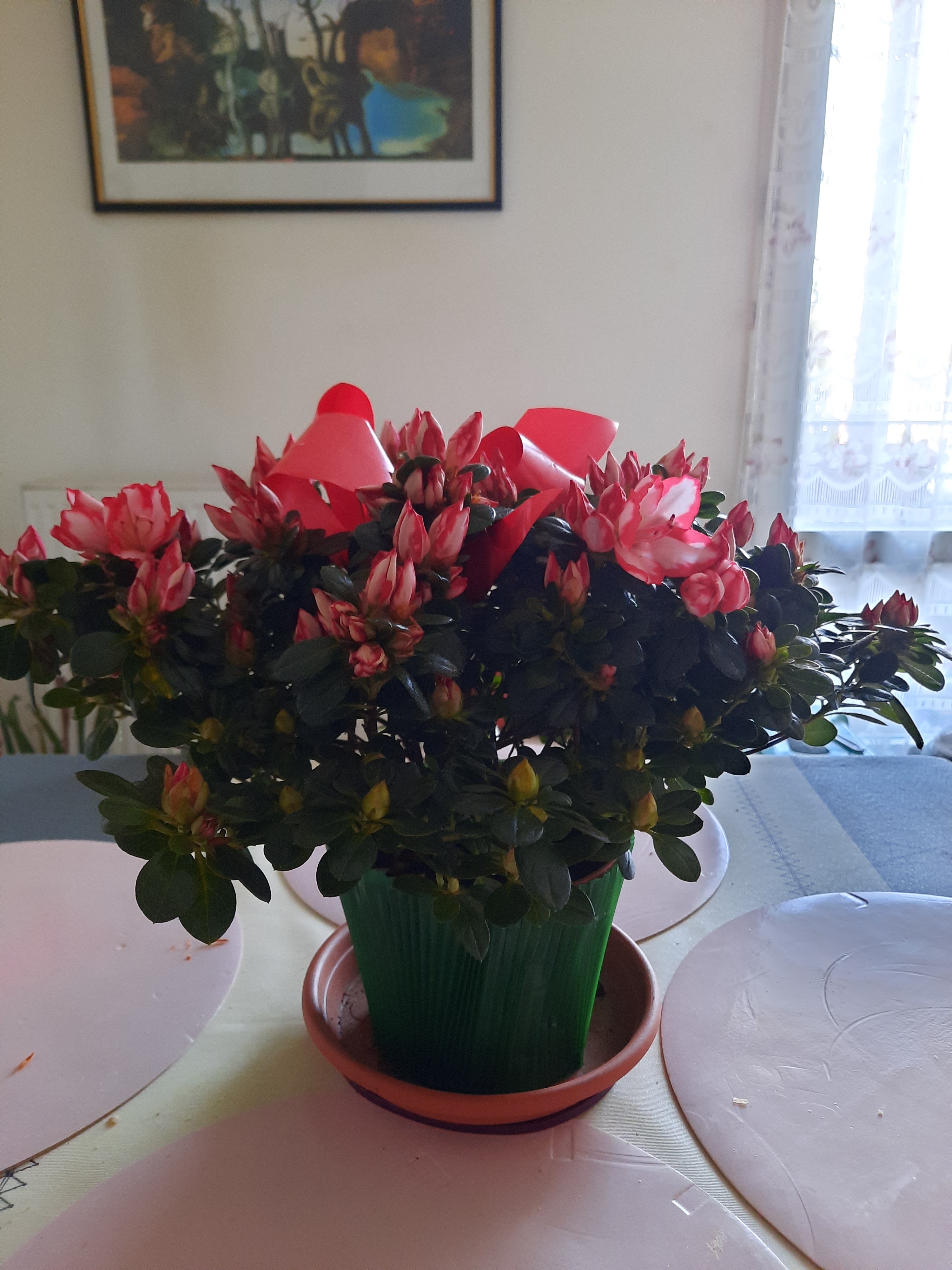 Photo n° 1 de l'avis de Béatrice.u fait le 10/04/2021 à 16:49