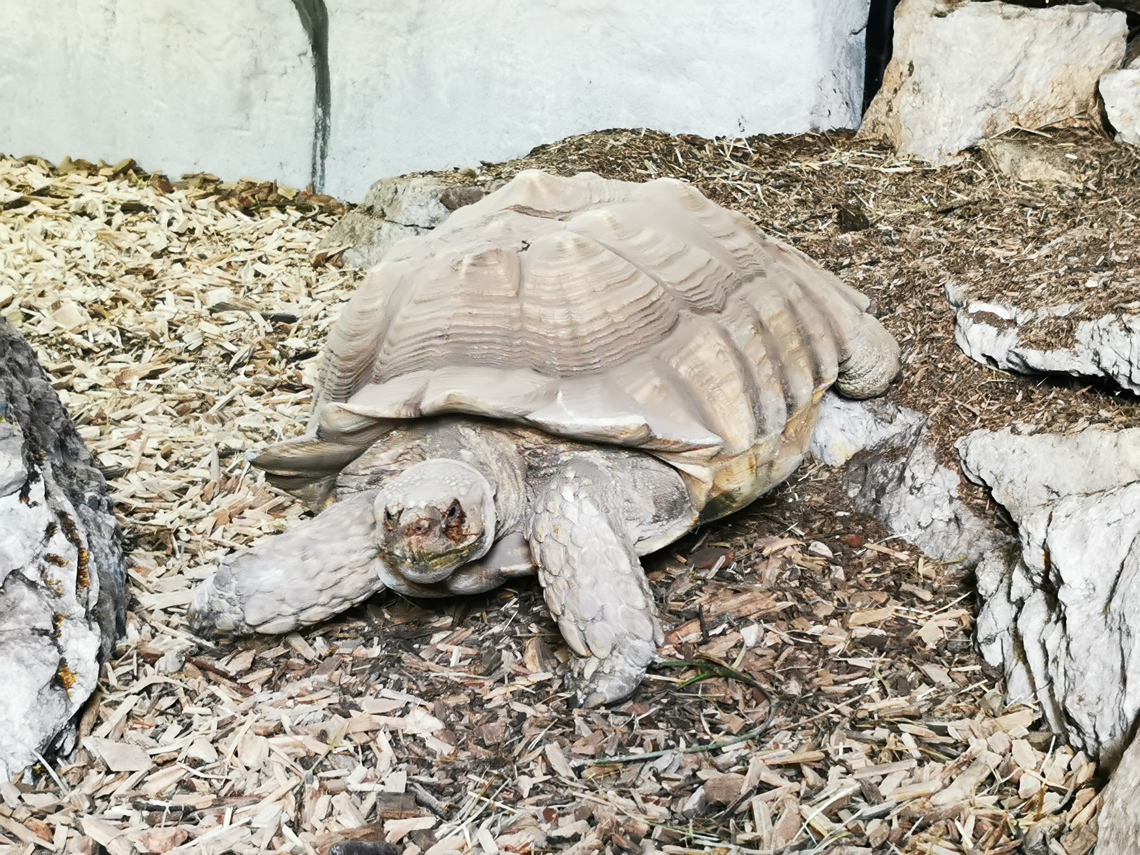 Photo n° 6 de l'avis de Aurelie.e fait le 03/08/2021 à 14:30