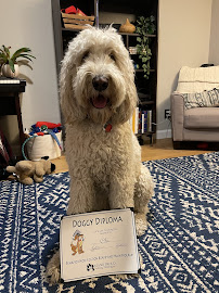 Stand Proud Dog Training - Photo 6 - Car repair in Reno, NV, Reno