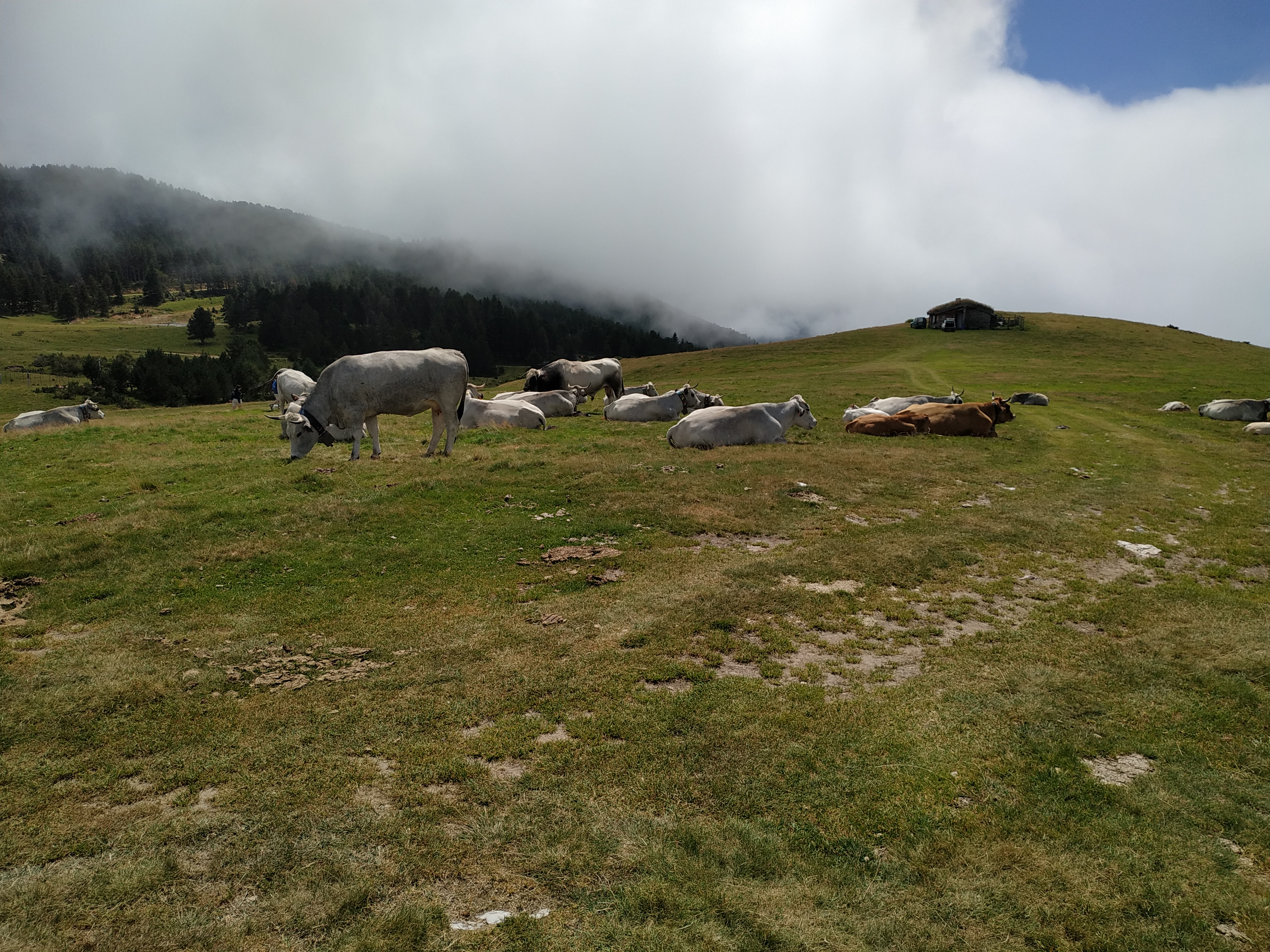 Photo n° 2 de l'avis de C. fait le 17/08/2021 à 17:33