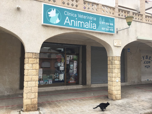 Clínica Veterinaria Animalia Altafulla en Altafulla