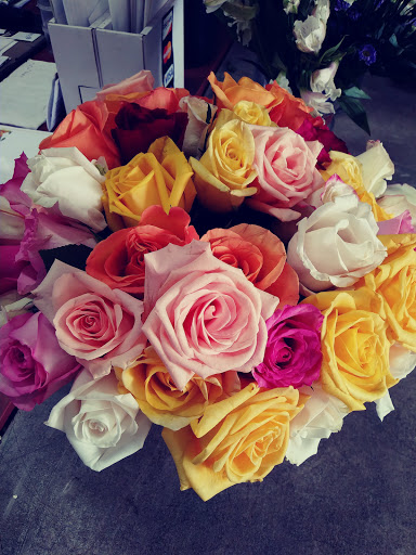 Florist «The Flower Place», reviews and photos, 860 NE 79th St, Miami, FL 33138, USA