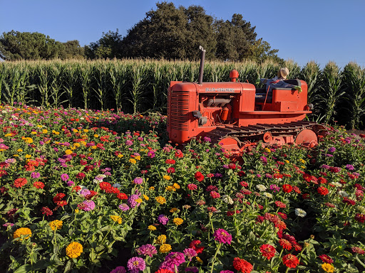 Pumpkin Patch «Spina Farms», reviews and photos, Santa Teresa Blvd, Morgan Hill, CA 95037, USA