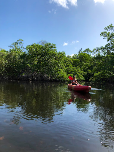 Surf Shop «Sunrise Paddleboards, LLC.», reviews and photos, 2520 N Federal Hwy, Fort Lauderdale, FL 33305, USA