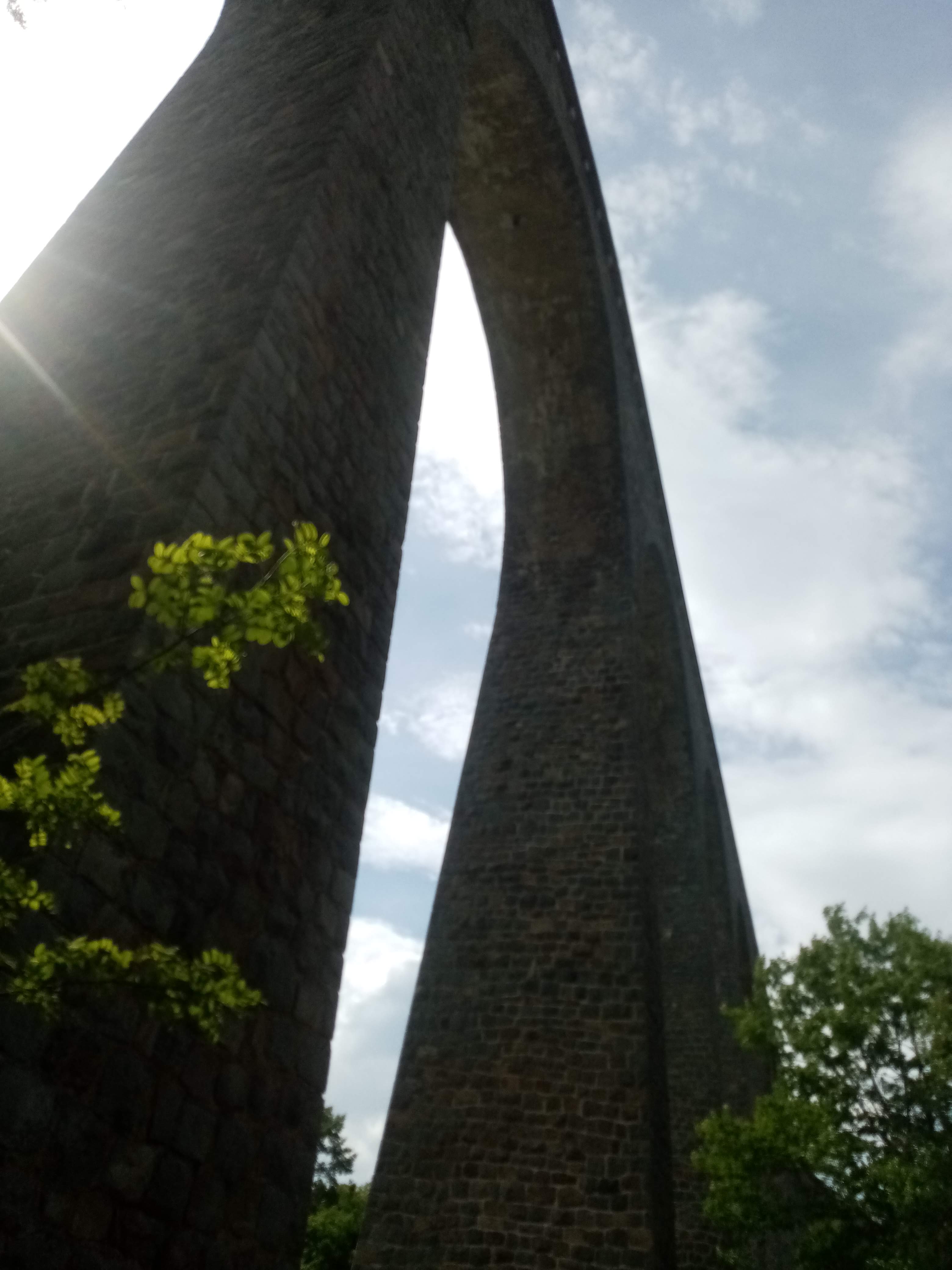 Photo n° 6 de l'avis de Françoise. fait le 17/05/2022 à 06:07