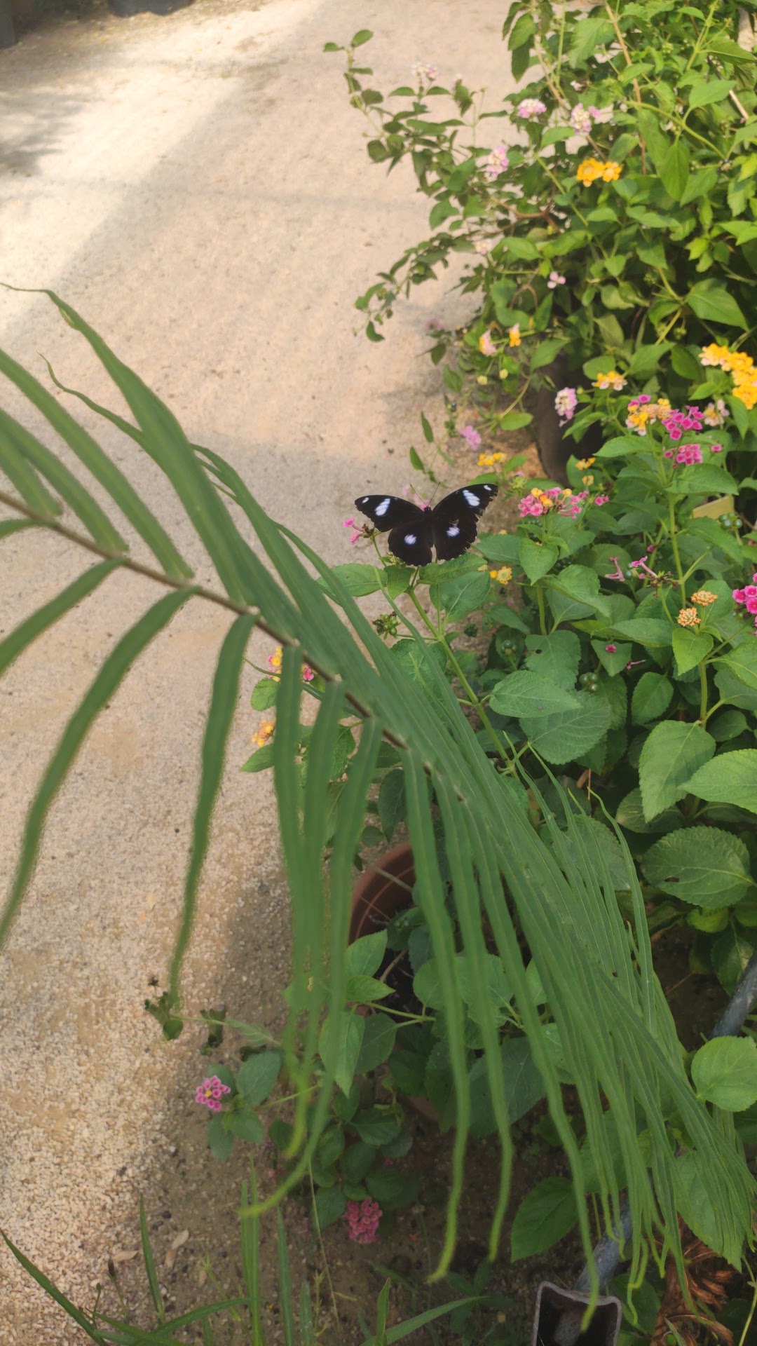 Photo n° 5 de l'avis de Florianne.o fait le 25/08/2020 à 20:05