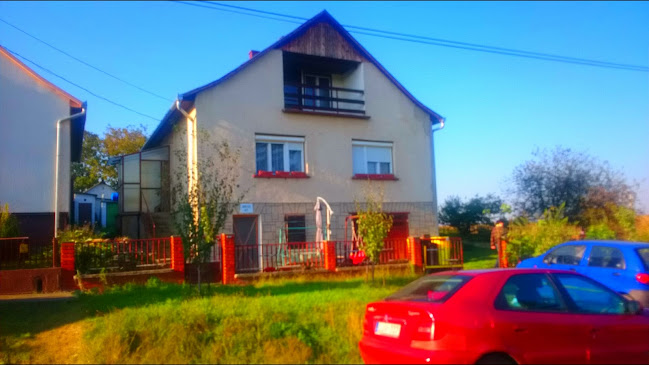 Bor-Sch Kft. - Tamási