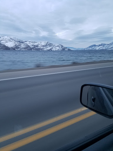 Discount Store «Dollar General», reviews and photos, 2559 TN-25, Cottontown, TN 37048, USA