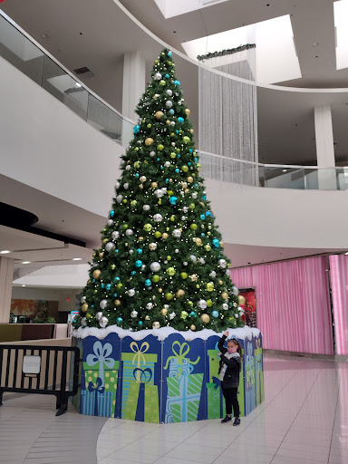 Shopping Mall «Baldwin Hills Crenshaw», reviews and photos, 3650 W Martin Luther King Jr Blvd, Los Angeles, CA 90008, USA