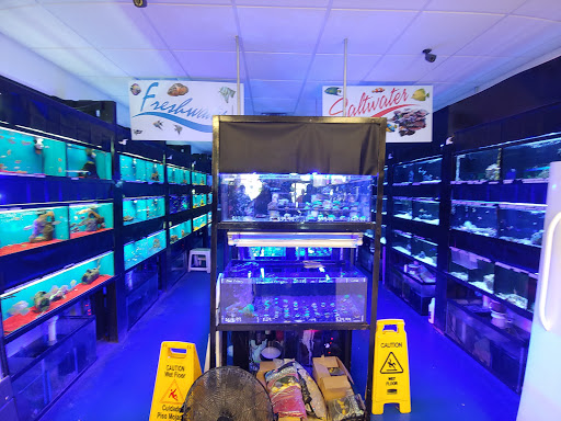 Pet Store «Exotic Fish & Pets», reviews and photos, 3272 N 5th Street Hwy, Reading, PA 19605, USA