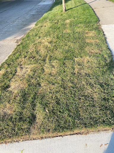 Building Materials Store «Advanced Landscape Supply», reviews and photos, 890 Rochester Rd, Clawson, MI 48017, USA