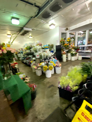 Florist «Sunfresh Flower Mart», reviews and photos, 14507 Hawthorne Blvd, Lawndale, CA 90260, USA