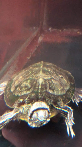 Pet Supply Store «Petco Animal Supplies», reviews and photos, 1680 Campbell Ln, Bowling Green, KY 42104, USA