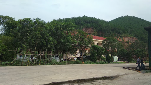 CÔNG TY CỔ PHẦN VÁN NHÂN TẠO TÂN VIỆT TRUNG