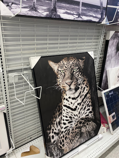 Clothing Store «Ross Dress for Less», reviews and photos, 46301 Potomac Run Plaza, Sterling, VA 20164, USA